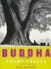 BUDDHA VOL 07 PRINCE AJATASATTU TP [9781932234626]